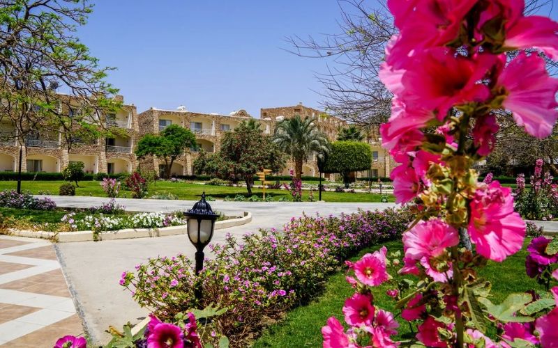 FUTURA CLUB BRAYKA RESORT - ROYAL BRAYKA